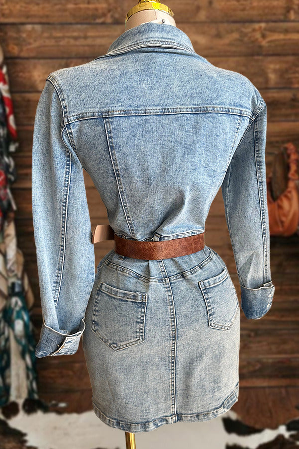 Vintage Denim Button Mini Dress