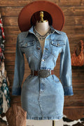 Vintage Denim Button Mini Dress