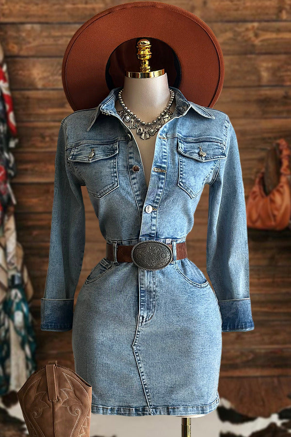 Vintage Denim Button Mini Dress